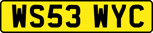WS53WYC