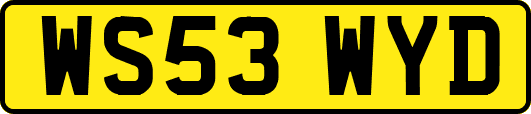 WS53WYD