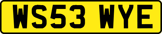 WS53WYE