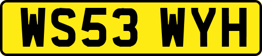 WS53WYH