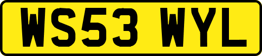 WS53WYL