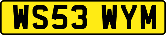 WS53WYM