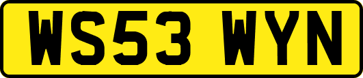 WS53WYN