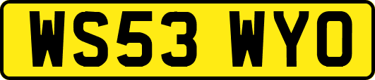 WS53WYO