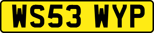 WS53WYP