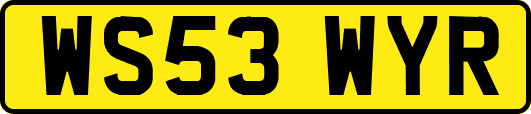 WS53WYR
