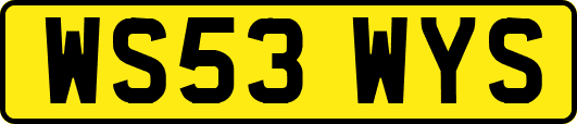 WS53WYS