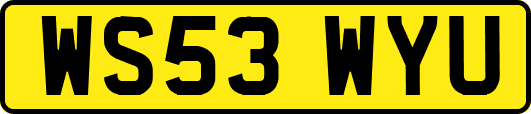 WS53WYU