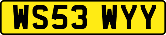 WS53WYY