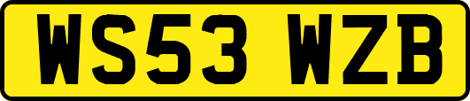 WS53WZB