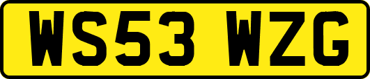 WS53WZG
