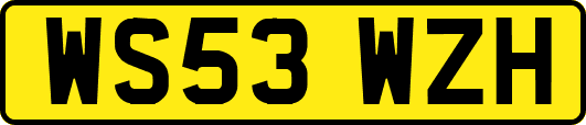 WS53WZH