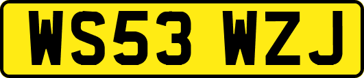 WS53WZJ