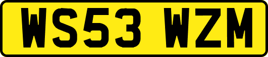 WS53WZM