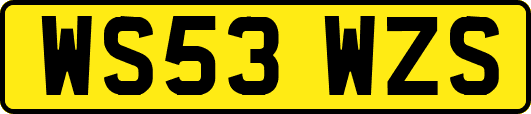WS53WZS