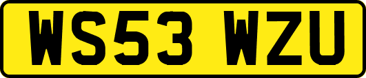 WS53WZU