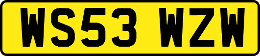 WS53WZW