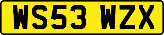 WS53WZX