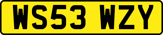 WS53WZY
