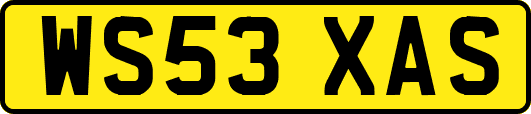 WS53XAS