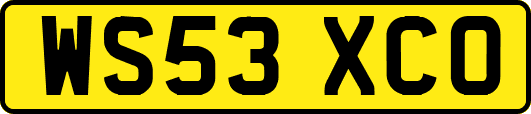 WS53XCO