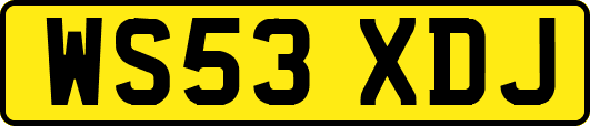 WS53XDJ