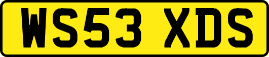 WS53XDS