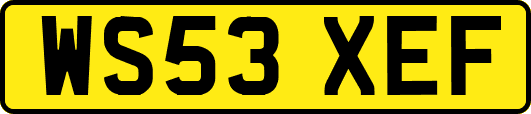 WS53XEF