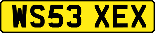 WS53XEX