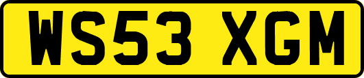 WS53XGM