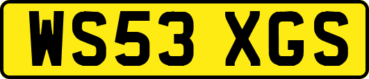 WS53XGS