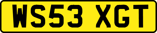 WS53XGT