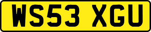 WS53XGU