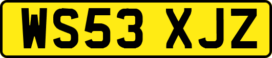 WS53XJZ