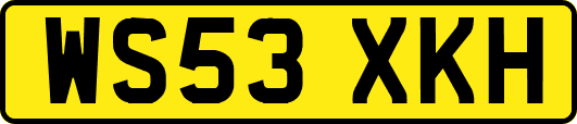 WS53XKH