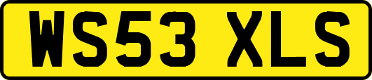 WS53XLS
