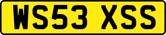 WS53XSS