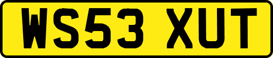 WS53XUT