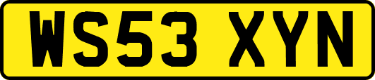 WS53XYN
