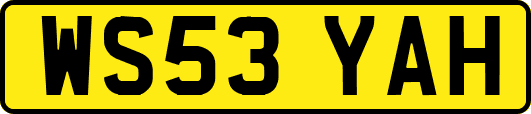 WS53YAH
