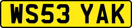 WS53YAK