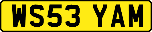 WS53YAM