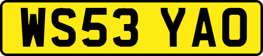 WS53YAO