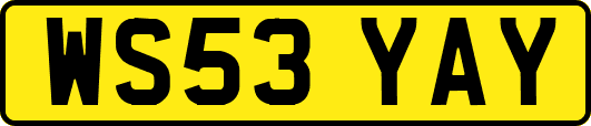 WS53YAY