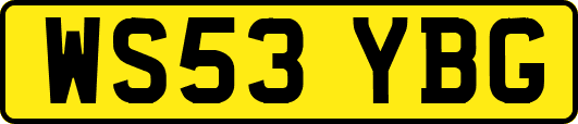 WS53YBG