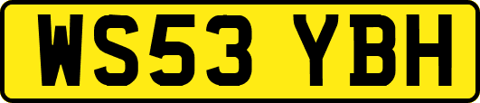 WS53YBH