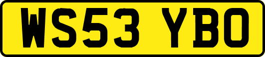 WS53YBO