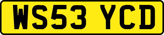 WS53YCD