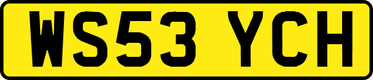 WS53YCH