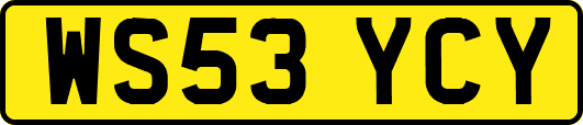 WS53YCY